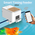 Automatic Fish Food