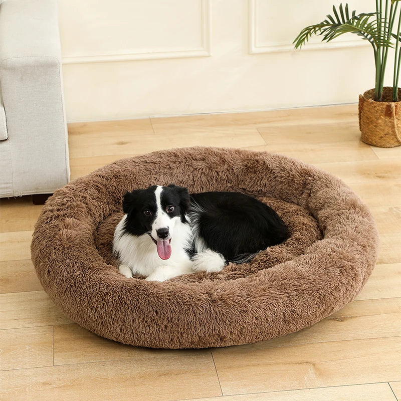 Soft Beds for Pets