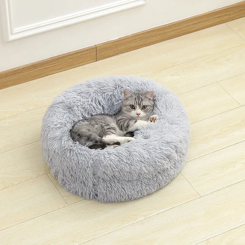 Soft Beds for Pets