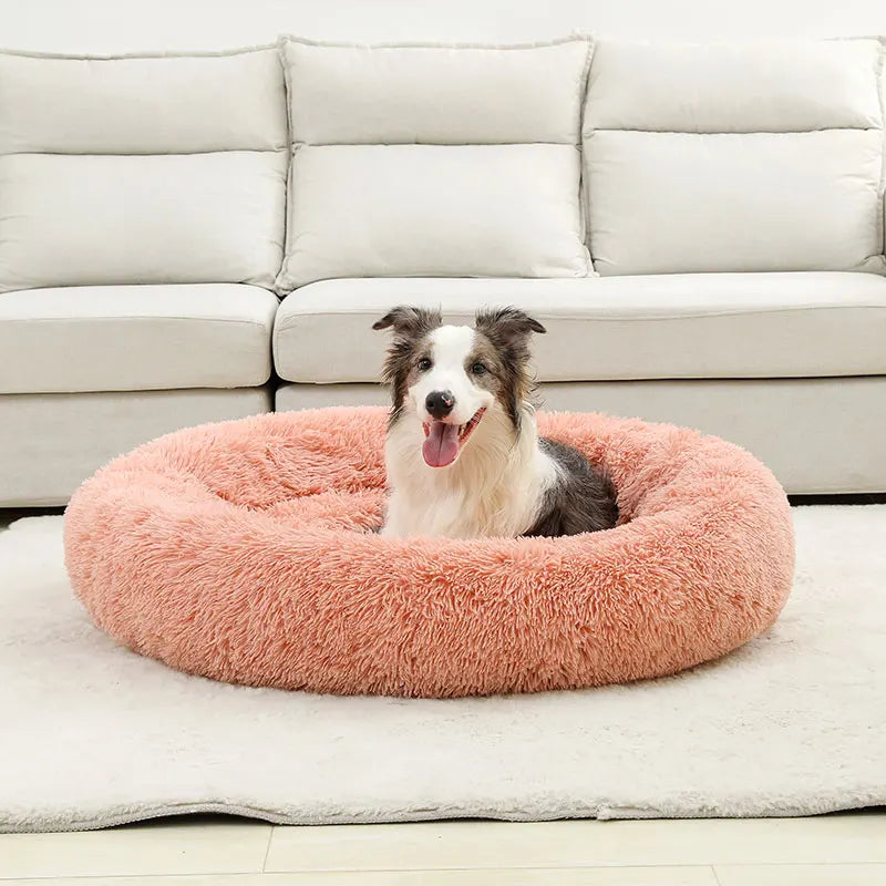 Soft Beds for Pets