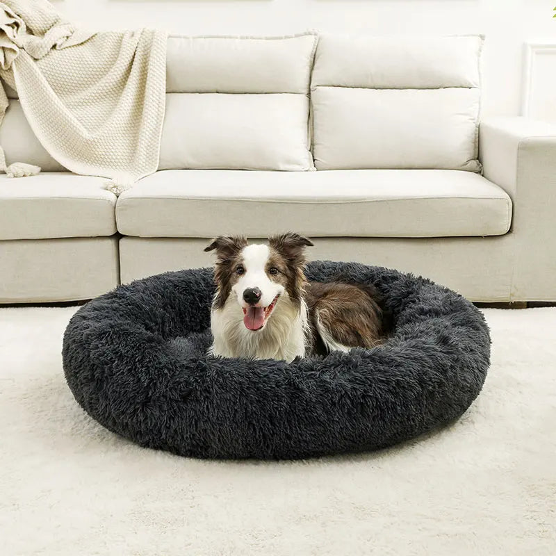 Soft Beds for Pets